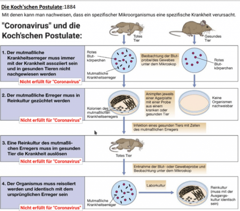 Koch Postulate