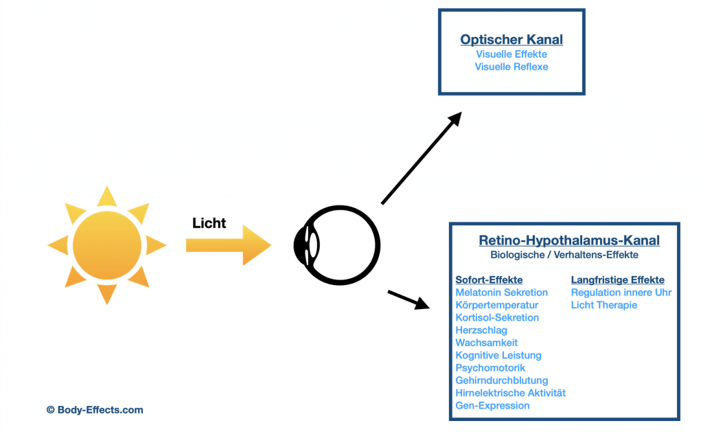 Retino-Hypothalamus-Kanal