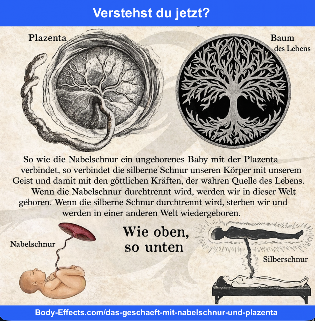 Plazenta und Blume des Lebens