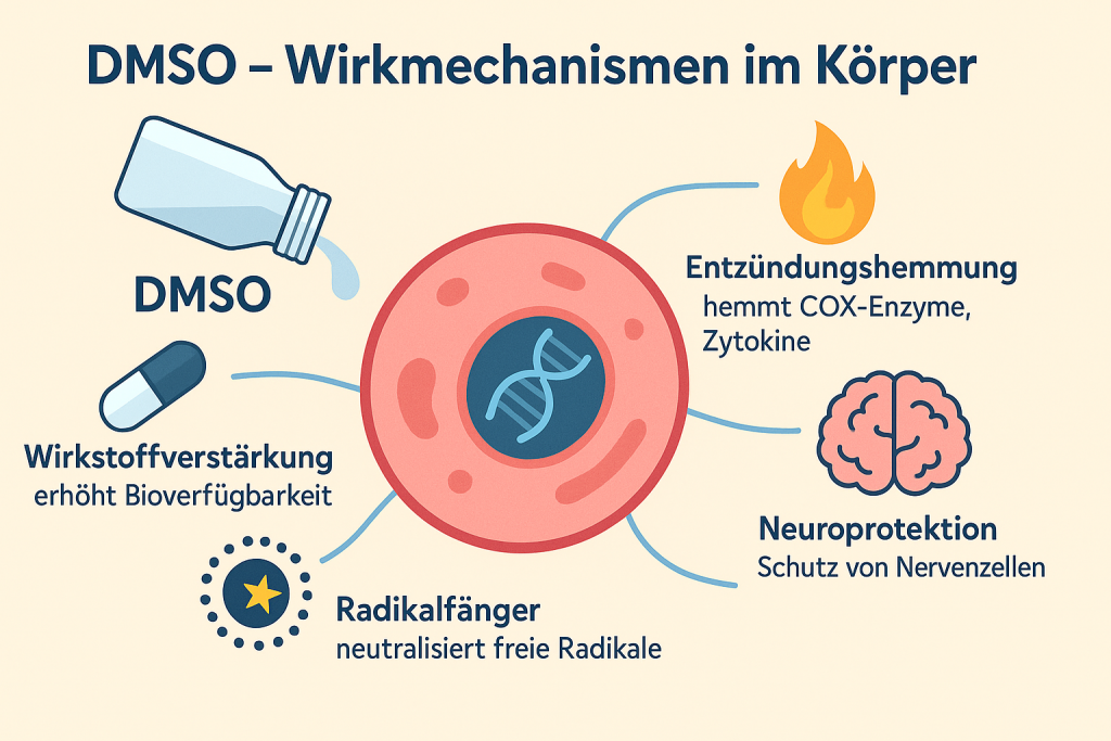 DMSO Wirkung