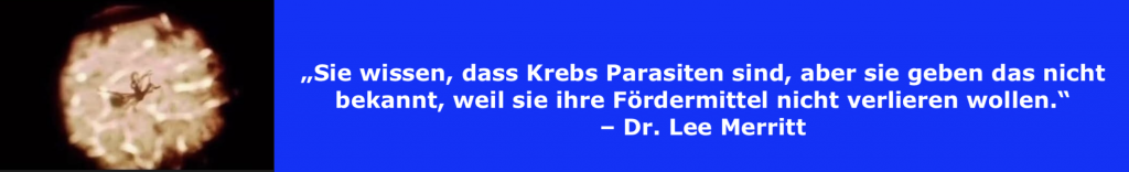 Krebs sind Parasiten